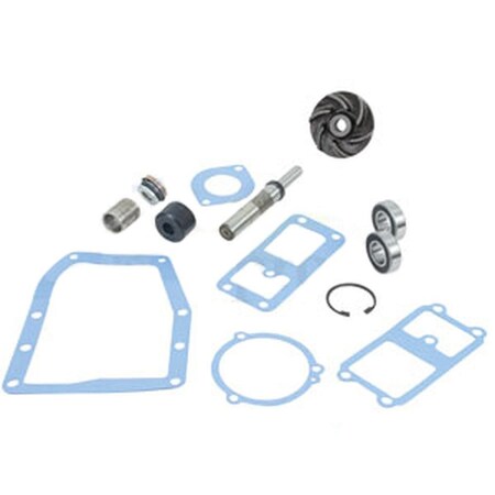 Water Pump Repair Kit Fits Massey Ferguson 1080 1085 285 295